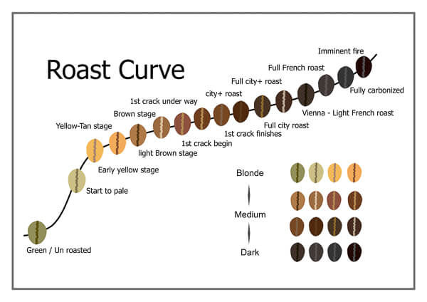 Roast Curve Chart