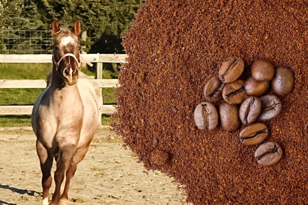 Horse and coffee grounds