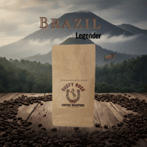 Brazilian coffee beans